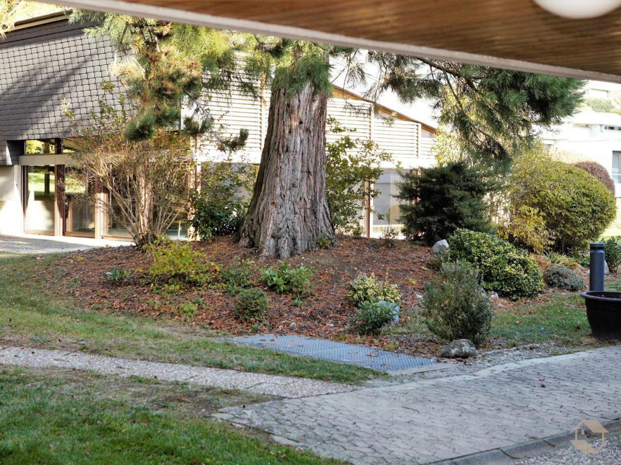 Ferienwohnung Konigsegg Ines Koch Reichenau Exterior photo